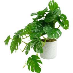 Leaf Green Monstera Potted Artificial Plant 30cm - Size: 30 x 30 x 30cm - Wilko - thumbnail 1