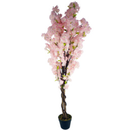 Botanik Pink Blossom Artificial Tree in Pot 5ft - Size: 150 x 60 x 60cm - Wilko