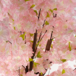 Botanik Pink Blossom Artificial Tree in Pot 5ft - Size: 150 x 60 x 60cm - Wilko - thumbnail 4