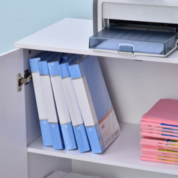 Vinsetto White 2-Tier Lock File Cabinet - Size: 80 x 40 x 80cm - Wilko - thumbnail 7