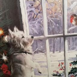 Samuel Alexander Snowtime Festive Dog and Robin Christmas Light Up Wall Art 30 x 40cm - Size: 40 x 30 x 30cm - Multi - Wilko - thumbnail 5