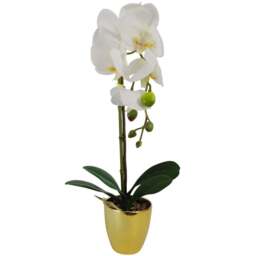 Botanik Dark White Orchid Artificial Plant in Silver Pot 46cm - Size: 46 x 15 x 15cm - Wilko