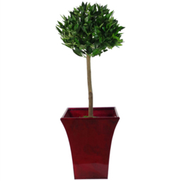 Leaf Plain Stem Topiary Bay Laurel Ball Artificial Tree 2 Pack - Size: 90 x 20 x 20cm - Green - Wilko - thumbnail 3