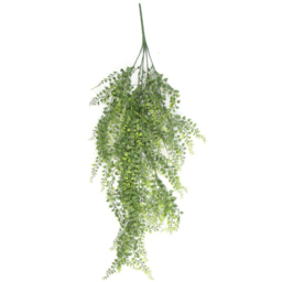 Leaf Trailing Button Fern Hanging Artificial Plant 3ft - Size: 82 x 30 x 10cm - Green - Wilko - thumbnail 1