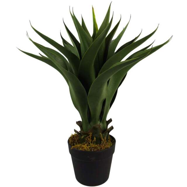 Botanik Yukka Tropical Artificial Plant in Pot 55cm - Size: 55 x 50 x 50cm - Green - Wilko - image 1