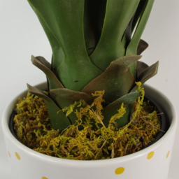 Botanik Yukka Tropical Artificial Plant in Pot 55cm - Size: 55 x 50 x 50cm - Green - Wilko - thumbnail 6