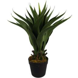 Botanik Yukka Tropical Artificial Plant in Pot 55cm - Size: 55 x 50 x 50cm - Green - Wilko - thumbnail 1