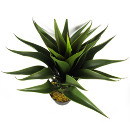 Botanik Yukka Tropical Artificial Plant in Pot 55cm - Size: 55 x 50 x 50cm - Green - Wilko - thumbnail 4