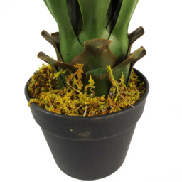Botanik Yukka Tropical Artificial Plant in Pot 55cm - Size: 55 x 50 x 50cm - Green - Wilko - thumbnail 3