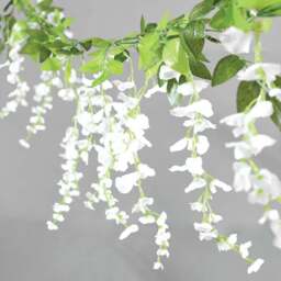 Wisteria LED String Light - Wilko