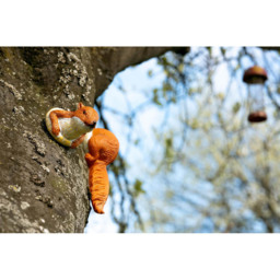 Marco Paul Tree Peekers Squirrels Garden Ornament - Size: 30 x 20 x 10cm - Brown - Wilko - thumbnail 7