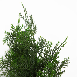 Botanik Cypress Cedar Topiary Artificial Tree in Pot 3ft - Size: 90 x 45 x 45cm - Green - Wilko - thumbnail 4