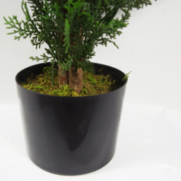 Botanik Cypress Cedar Topiary Artificial Tree in Pot 3ft - Size: 90 x 45 x 45cm - Green - Wilko - thumbnail 3