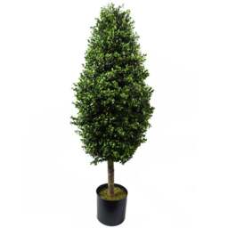 Botanik Artificial Buxus Ball Cone Topiary Tree 120cm - Size: 120 x 45 x 45cm - Green - Wilko - thumbnail 1