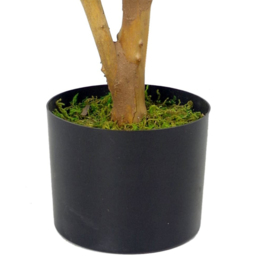 Botanik Luxury Olive Artificial Tree in Black Plastic Pot 65cm - Size: 65 x 50 x 50cm - Green - Wilko - thumbnail 4