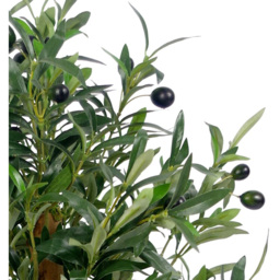 Botanik Luxury Olive Artificial Tree in Black Plastic Pot 65cm - Size: 65 x 50 x 50cm - Green - Wilko - thumbnail 3