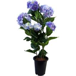 Botanik Blue Hydrangea Bush Artificial Plant in Pot 3ft - Size: 90 x 40 x 40cm - Wilko - thumbnail 1
