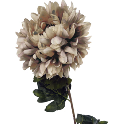 Leaf Reflex Chrysanthemum Mushroom Artificial Flower 2ft 6 Pack - Size: 75 x 20 x 20cm - Brown - Wilko - thumbnail 6