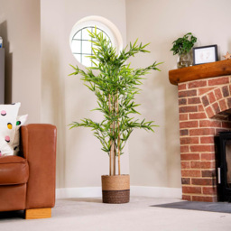 Garden Gear Artificial Bamboo Plant in Pot 150cm - Size: 150 x 17 x 17cm - Green - Thompson & Morgan - Wilko - thumbnail 3