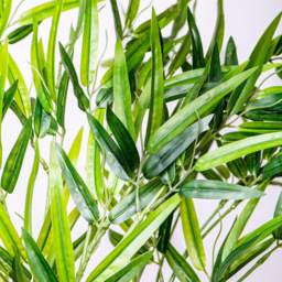 Garden Gear Artificial Bamboo Plant in Pot 150cm - Size: 150 x 17 x 17cm - Green - Thompson & Morgan - Wilko - thumbnail 6