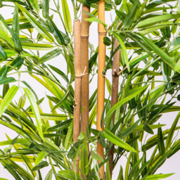 Garden Gear Artificial Bamboo Plant in Pot 150cm - Size: 150 x 17 x 17cm - Green - Thompson & Morgan - Wilko - thumbnail 5