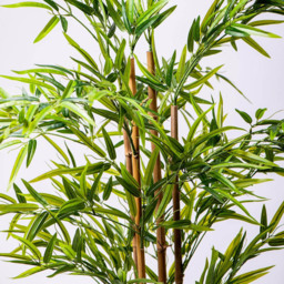 Garden Gear Artificial Bamboo Plant in Pot 150cm - Size: 150 x 17 x 17cm - Green - Thompson & Morgan - Wilko - thumbnail 4