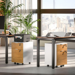 HOMCOM 2 Drawer Filing Cabinet with Adjustable Hanging Bars - Brown - Wilko - thumbnail 4