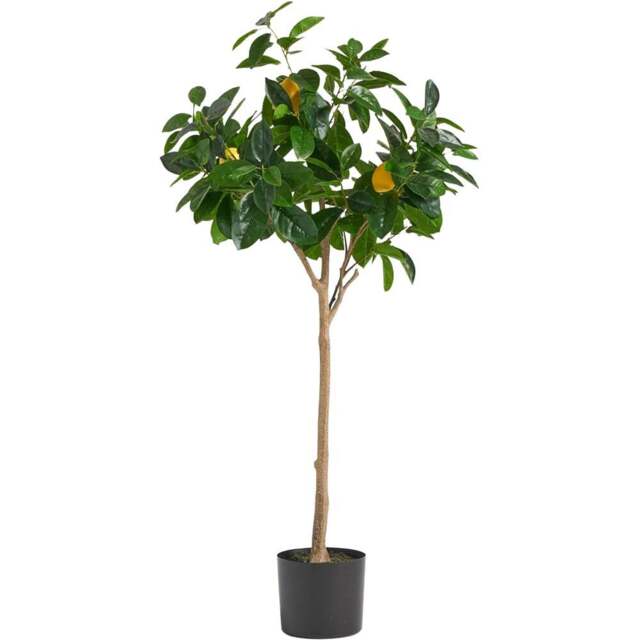 Botanik Lemon Artificial Tree in Pot 4ft - Size: 120 x 45 x 45cm - Green - Wilko - image 1