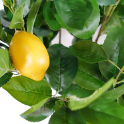 Botanik Lemon Artificial Tree in Pot 4ft - Size: 120 x 45 x 45cm - Green - Wilko - thumbnail 5