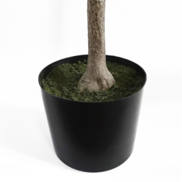 Botanik Lemon Artificial Tree in Pot 4ft - Size: 120 x 45 x 45cm - Green - Wilko - thumbnail 4