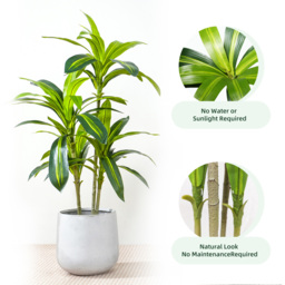 Agave Tree Indoor Artificial Plant 100cm - Size: 100 x 30 x 30cm - Green - MCC - Wilko - thumbnail 5