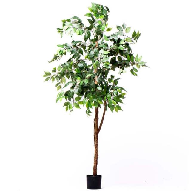 Garden Gear 3 Trunk Artificial Ficus Tree in Pot 150cm - Size: 150 x 17 x 17cm - Green - Thompson & Morgan - Wilko - image 1