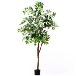 Garden Gear 3 Trunk Artificial Ficus Tree in Pot 150cm - Size: 150 x 17 x 17cm - Green - Thompson & Morgan - Wilko