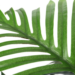 Living and Home Artificial Palm Tree in a Pot - Green - Wilko - thumbnail 5