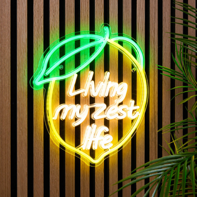 Living My Zest Life Outdoor Neon Light - Wilko - image 1