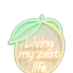 Living My Zest Life Outdoor Neon Light - Wilko - thumbnail 5