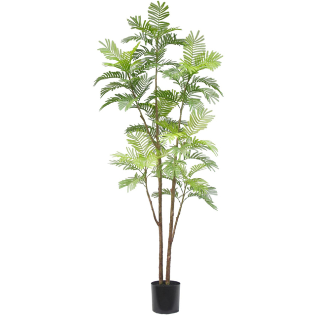 Botanik Spiny Date Palm Artificial Tree in Pot 7ft - Size: 210 x 80 x 80cm - Green - Wilko - image 1