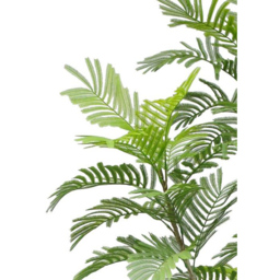 Botanik Spiny Date Palm Artificial Tree in Pot 7ft - Size: 210 x 80 x 80cm - Green - Wilko - thumbnail 3