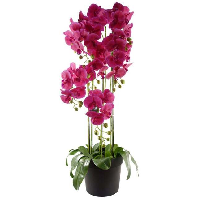 Botanik Large Pink Orchid Artificial Plant in Pot 3.6ft - Size: 110 x 40 x 40cm - Wilko - image 1