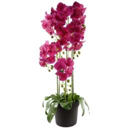 Botanik Large Pink Orchid Artificial Plant in Pot 3.6ft - Size: 110 x 40 x 40cm - Wilko - thumbnail 1
