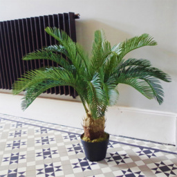 Botanik Cycas Palm Artificial Tree in Pot 3ft - Size: 80 x 70 x 70cm - Green - Wilko - thumbnail 6
