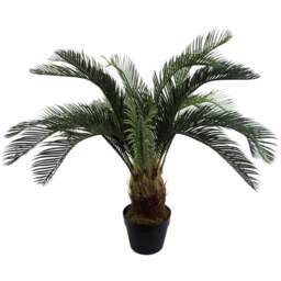 Botanik Cycas Palm Artificial Tree in Pot 3ft - Size: 80 x 70 x 70cm - Green - Wilko - thumbnail 1
