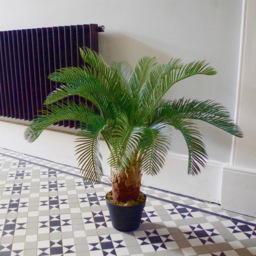 Botanik Cycas Palm Artificial Tree in Pot 3ft - Size: 80 x 70 x 70cm - Green - Wilko - thumbnail 4