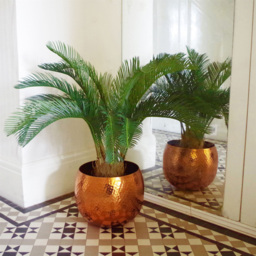 Botanik Cycas Palm Artificial Tree in Pot 3ft - Size: 80 x 70 x 70cm - Green - Wilko - thumbnail 5