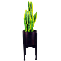Botanik Iridescent Rainbow Metal Planter 18 x 20cm - Size: 18 x 20 x 20cm - Green - Wilko - thumbnail 3