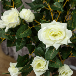 Portland White Rose Artificial Tree in Pot 90cm 2 Pack - Size: 90 x 18 x 18cm - Wilko - thumbnail 4