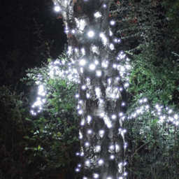Eagle Connect Cool White LED Black String Light 10m - Size: 0 x 1000 x 0cm - Wilko - thumbnail 4