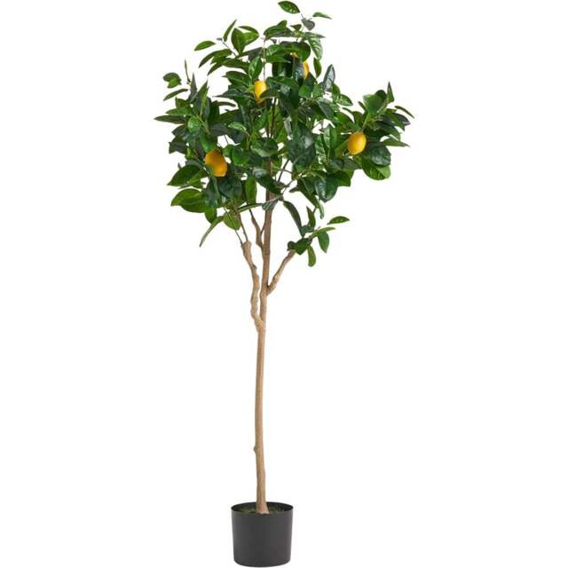Botanik Premium Lemon Artificial Tree 4.9ft - Size: 150 x 50 x 50cm - Green - Wilko - image 1