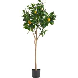 Botanik Premium Lemon Artificial Tree 4.9ft - Size: 150 x 50 x 50cm - Green - Wilko - thumbnail 1