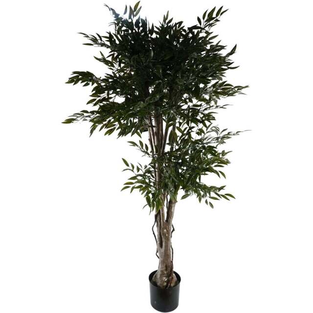 Botanik Japanese Ruscus Artificial Tree in Pot 5ft - Size: 140 x 70 x 70cm - Green - Wilko - image 1